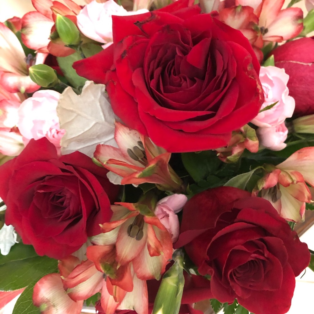 Meet your Posher, Catherine